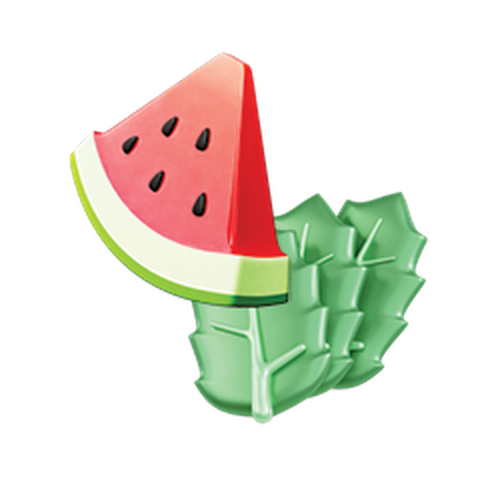 Watermelon Mint